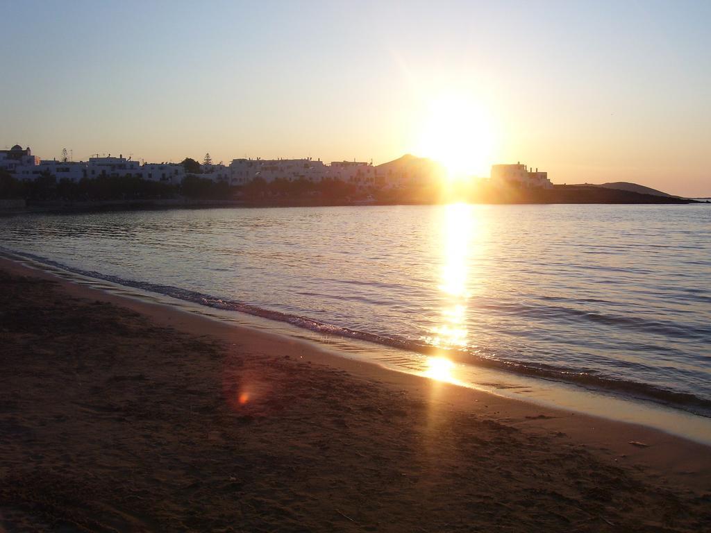 Roussos Beach Hotel Naousa  Facilities photo